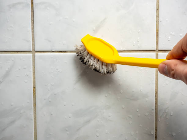 Best Affordable Mold Removal  in Maple Bluff, WI
