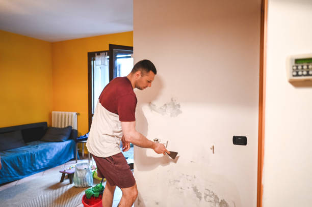 Best Mold Testing  in Maple Bluff, WI